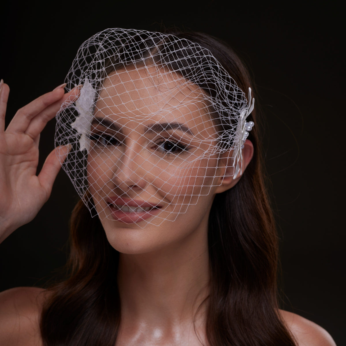Bridal Birdcage Veil with Pearl & Leaf Side Comb