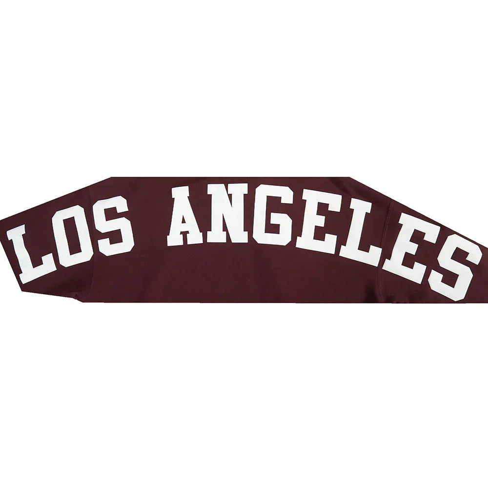 Pro Standard La Dodgers Wingspan Drop Shoulder Hoodie - Wine