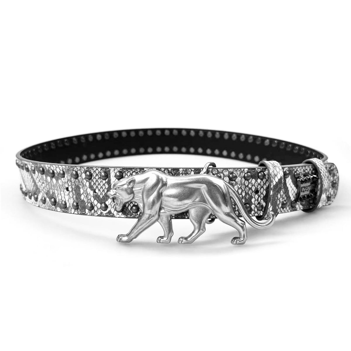 "PANTHER" BELT - ARCTIC STORM