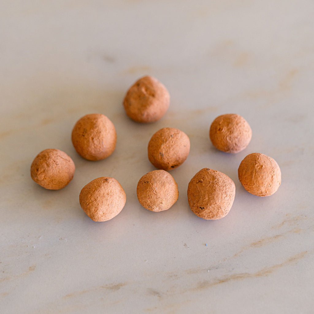 California Poppy Wildflower Garden Confetti Seed Balls