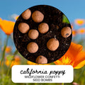 California Poppy Wildflower Garden Confetti Seed Balls