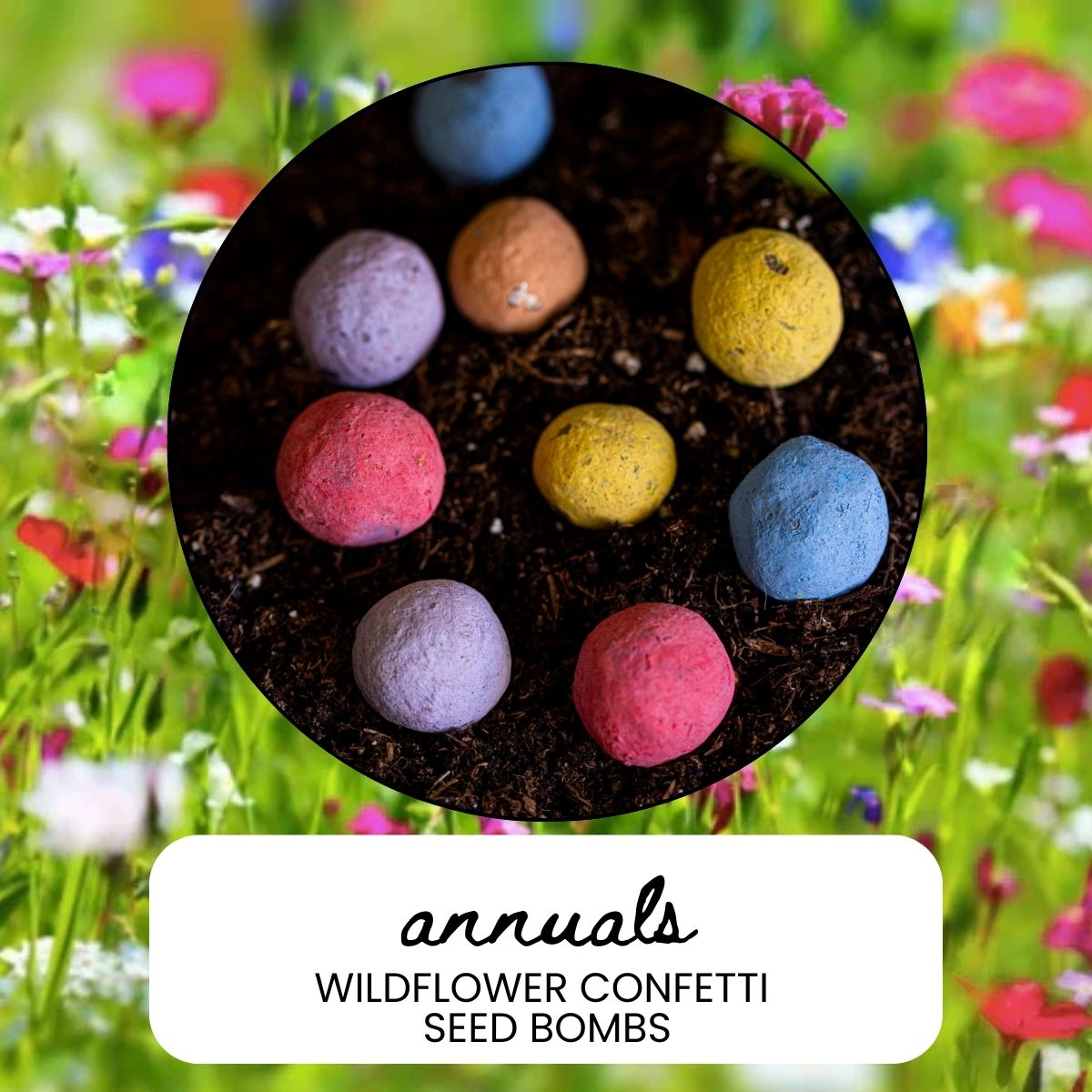Annual Wildflower Garden Confetti Seed Balls
